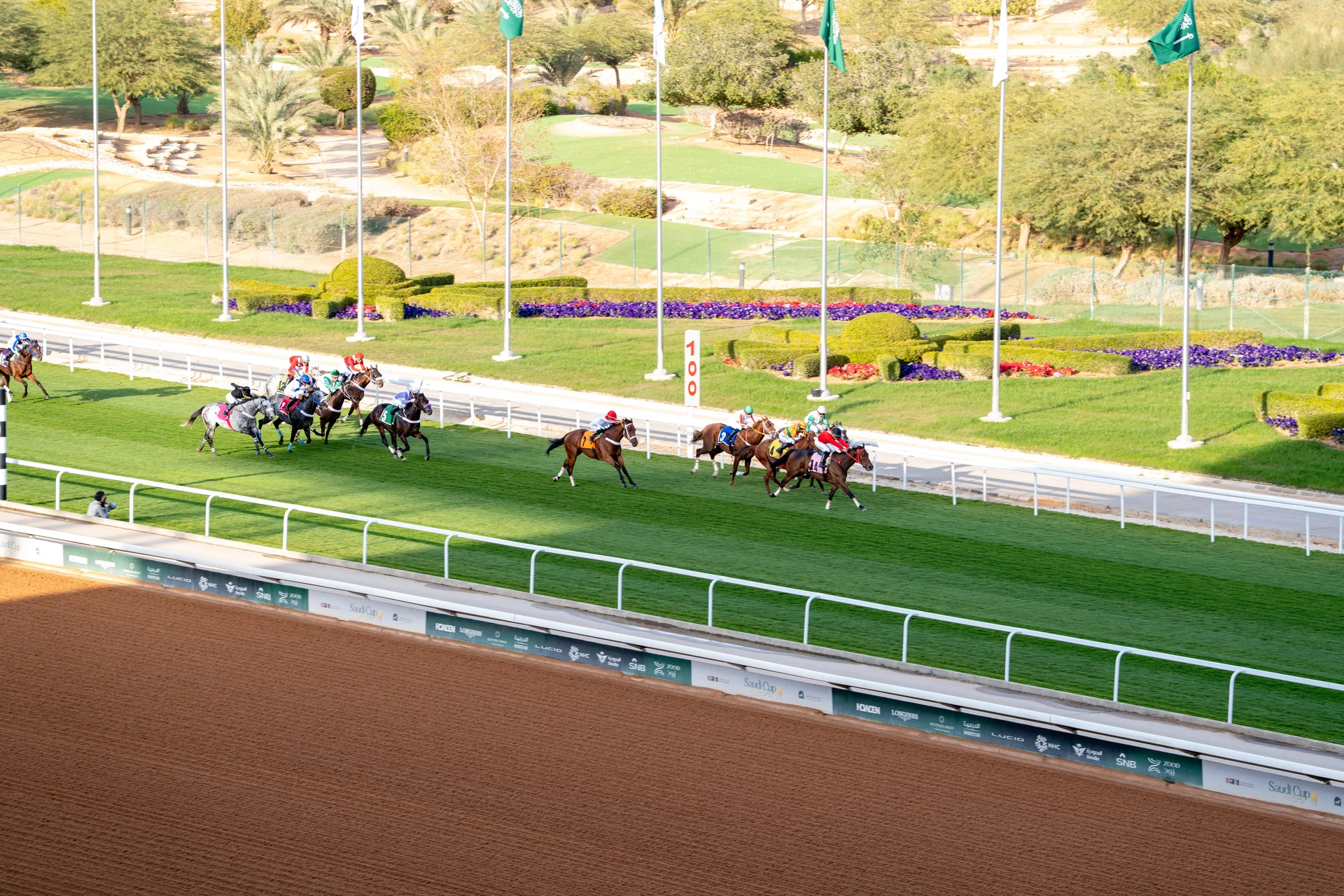 King Abdullah Humanitarian Foundation Horse Awards — project view 2